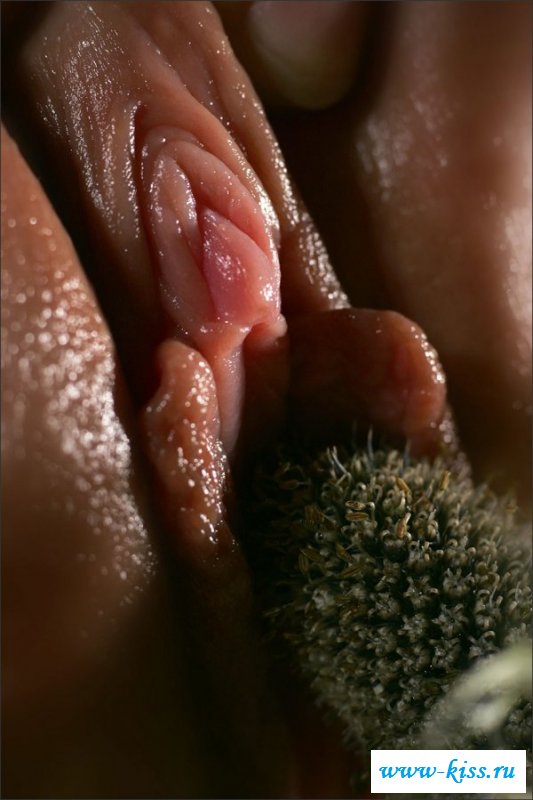 Female Clitoral Anatomy Photograph By Science Photo Library